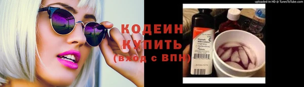 хмурый Мегион