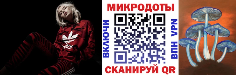 Купить  Аксай  Псилоцибиновые грибы Psilocybine cubensis 